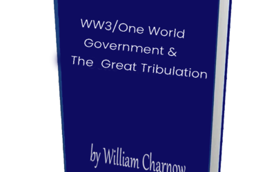 Next Stop WW3 and One World Government